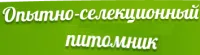 Саженцы груши Августовская роса